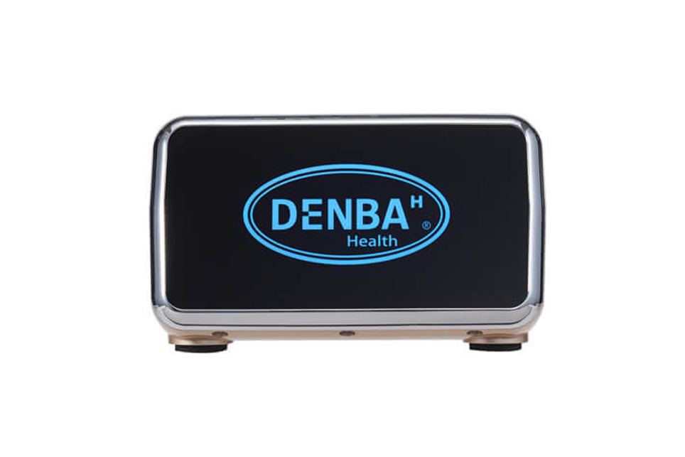 DENBA HealthStandard type